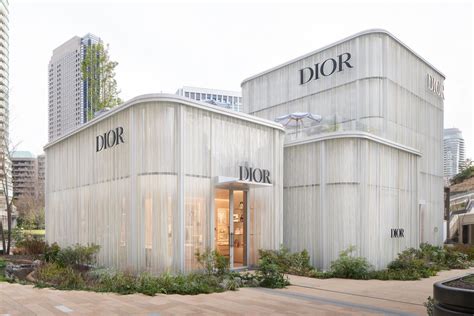 dior ginoide tokyo|dior matsuya.